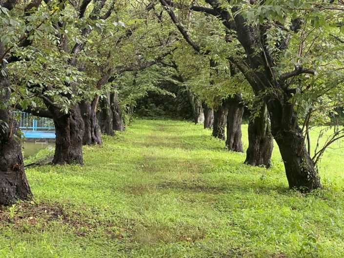 8月度スケジュール