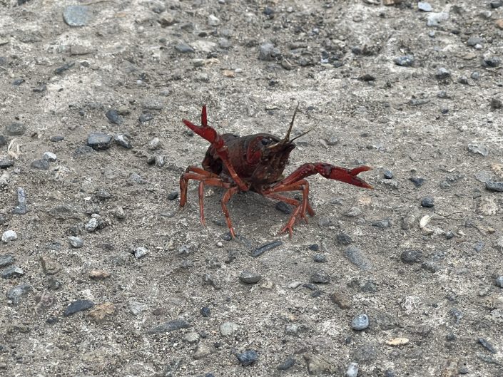 9月度スケジュール