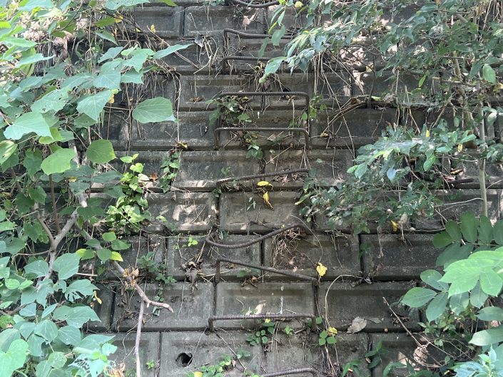 10月度スケジュール