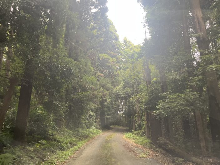 11月度スケジュール