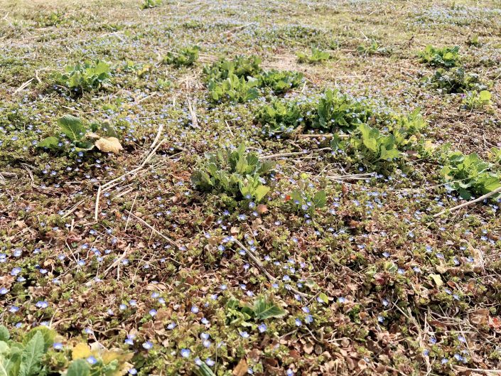 4月度スケジュール